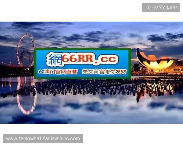 永利ag旗舰官网安全保障措施全面，确保每一位玩家的账户资金与个人信息安全