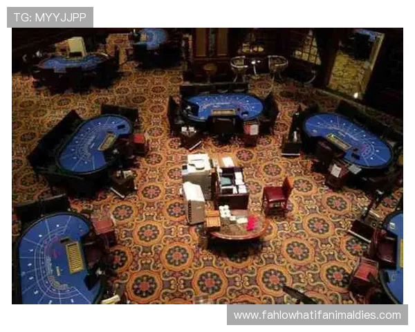 全面解析网上真人百家乐的优势与安全保障让你放心畅玩