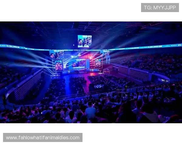 真人电竞体育平台选择指南，助你找到最适合的赛事观看渠道