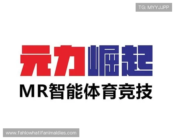 九游真人体育平台的技术保障与安全措施,保障玩家个人信息与资金安全